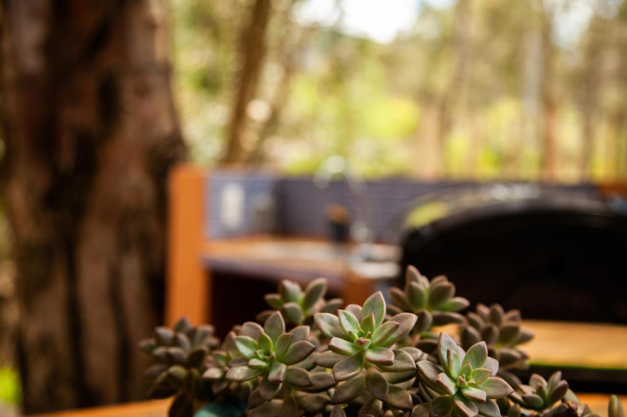 Clavellino House En Villa De Leyva - Tranquilidad Y Naturaleza En Reserva Natural Urbana! Exterior foto
