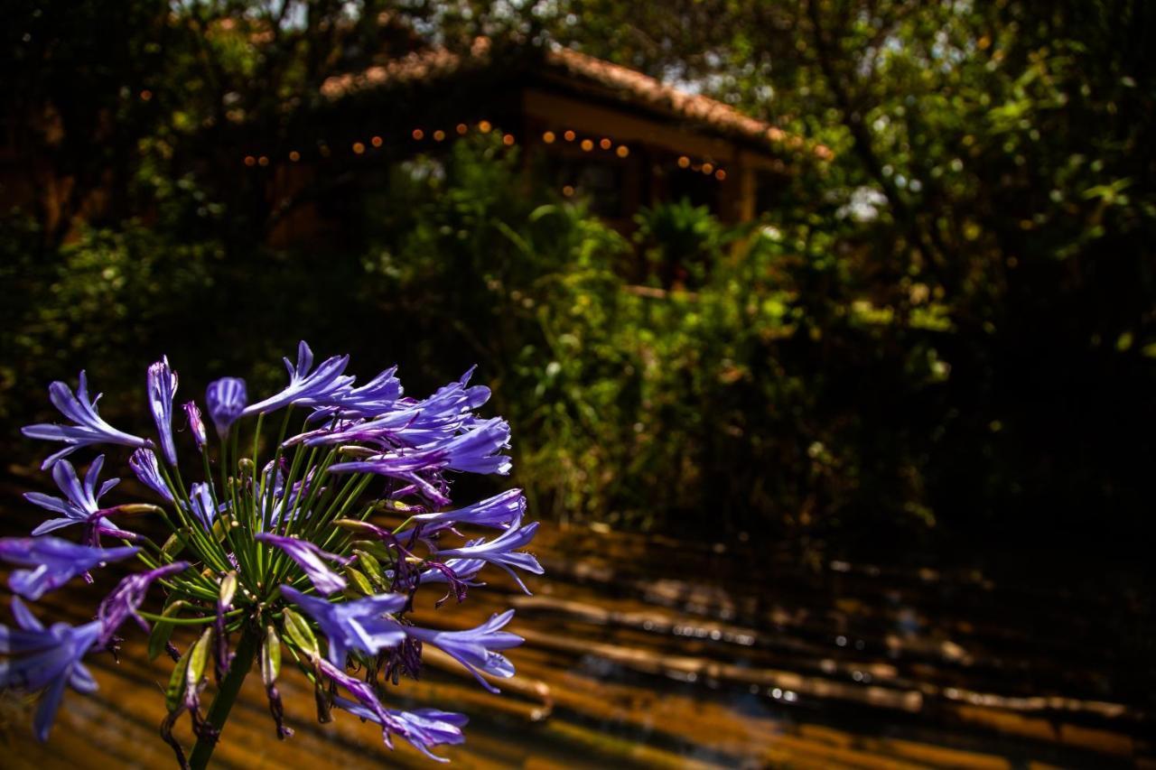 Clavellino House En Villa De Leyva - Tranquilidad Y Naturaleza En Reserva Natural Urbana! Exterior foto